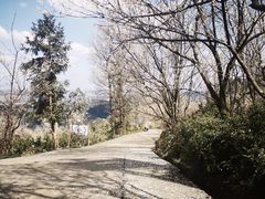 -樱桃山旅游景区