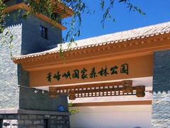 -青峰峡国家森林公园