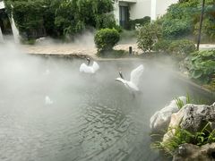 -广富林宰相府酒店·水云间