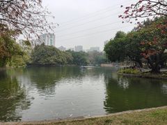 -晓港公园