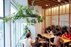 -悦诗风吟innisfree