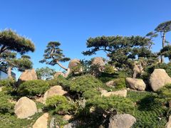 -罗红摄影艺术馆