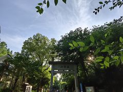 -西湖风景区十里琅珰-五云山