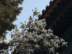 -大钟寺古钟博物馆