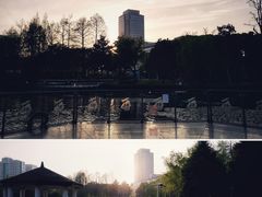 -新虹桥中心花园