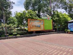 -苏州乐园森林水世界