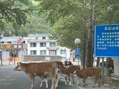 -五台山风景名胜区