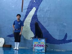 -左海海底世界