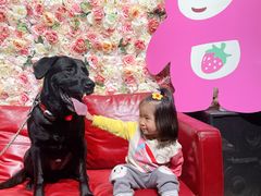 -百好乐宠物友好餐厅(朝外大街店)