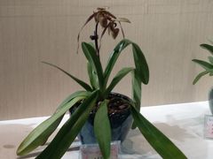 -北京植物园-展览温室