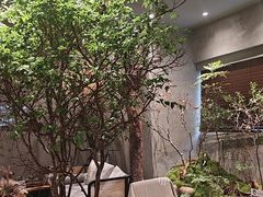 -森SPA·泰式按摩·精油Massage(宝安中心店)