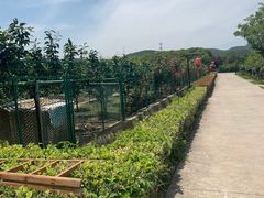 -呼吸森林·生态农庄农家乐私房菜