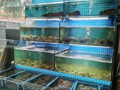 水产区-老东镇啤酒屋海鲜加工·蒸汽海鲜·海鲜烧烤(台东店)