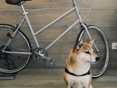 -Onirii Coffee(长乐路店)