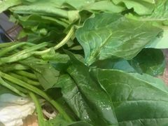 -新辣道鱼火锅(龙旗广场店)