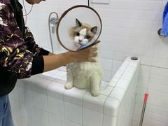 -福州肆爪动物医院