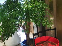 -上海国展宝龙丽筠酒店