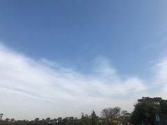 -美的鹭湖森林度假区