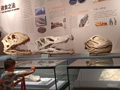 -自贡恐龙博物馆
