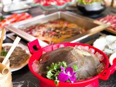 -二荆条·蜀鲜汇城市森林火锅