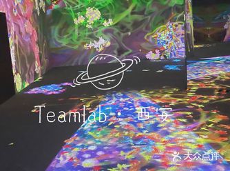 暑期必看的Teamlab登陆西安啦！