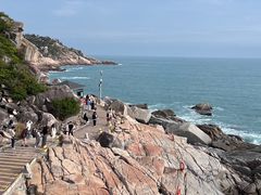 -广东惠东海龟国家级自然保护区