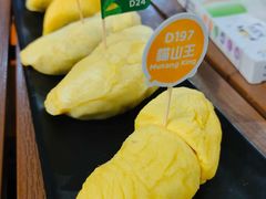 -榴莲BB 四季果园