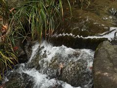 -中国茶叶博物馆(双峰馆区)