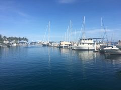 -东姑阿都拉曼海洋公园