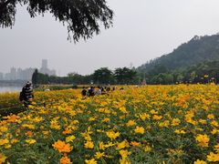 -顺峰山公园