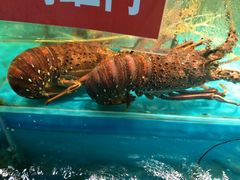 -学府海鲜批发市场