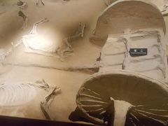 -洛阳周王城天子驾六博物馆