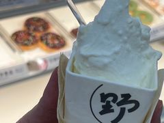 -野人先生现做冰淇淋(西安赛格店)