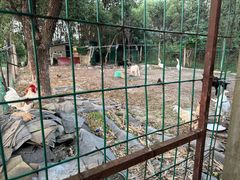 -呼吸森林·生态农庄农家乐私房菜