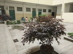 -南京晓庄学院(莫愁校区)