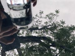 -SUSU·苏苏(四合院创始店)