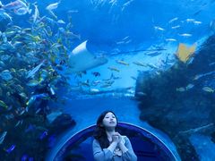 -海合安成都极地海洋公园