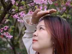 -南山植物园