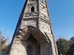 -上海佘山国家森林公园天马山园