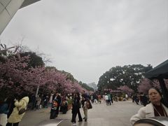 -南山植物园