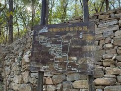 -井塘古村