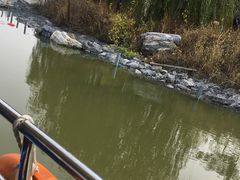 -武清南湖绿博园