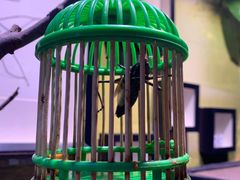 -正佳雨林生态植物园