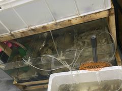 水产区-阿杰臻选海鲜饭店(普陀山店)
