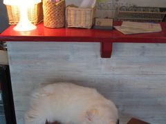 -Babycat私家御饼屋(龙头路一店)