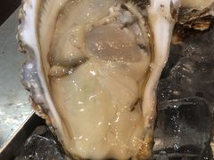 -浩运海鲜·16年专注青岛菜(石老人店)