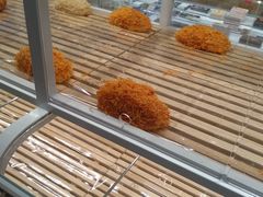 -好利来(回龙观西大街店)