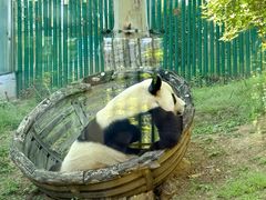 -大连森林动物园