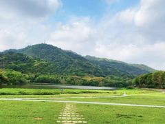 -风云岭森林公园