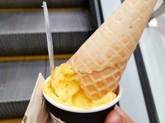 -野人先生现做冰淇淋(北京环宇荟店)